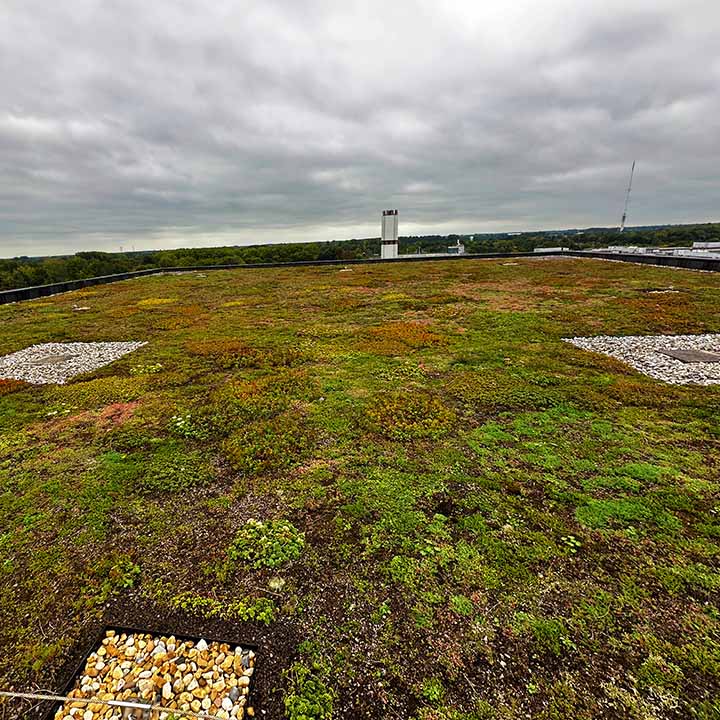Sedumdak 20m hoog schone grindzones Nieuwegein