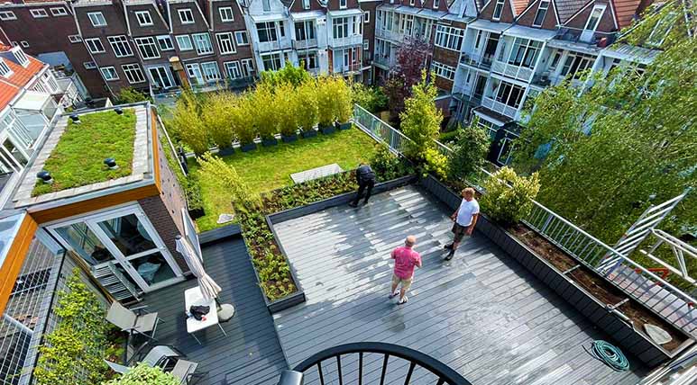 Daktuinen door Dakhoveniers