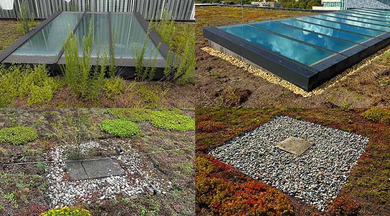 Dienst onderhoud dakhoveniers voor multifunctionele daken