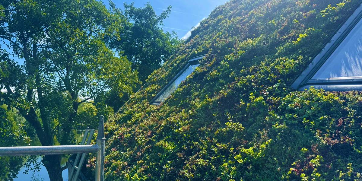 Hellend groendak met sedum mix 45 graden Nieuwkoop