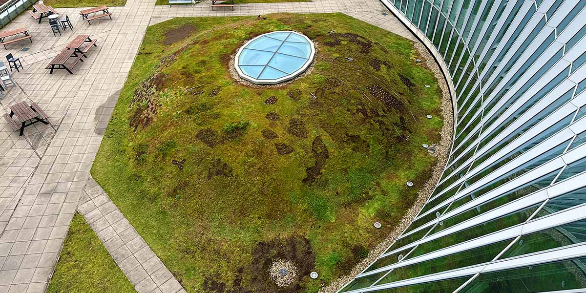 Sedumdak onderhoud stadhuis Nieuwegein